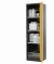Flügeltürenschrank CS-Classic 545x520x1950 mm (BxTxH), RAL 7016/1004 3x Fachboden, 1x Bodenauffangwanne