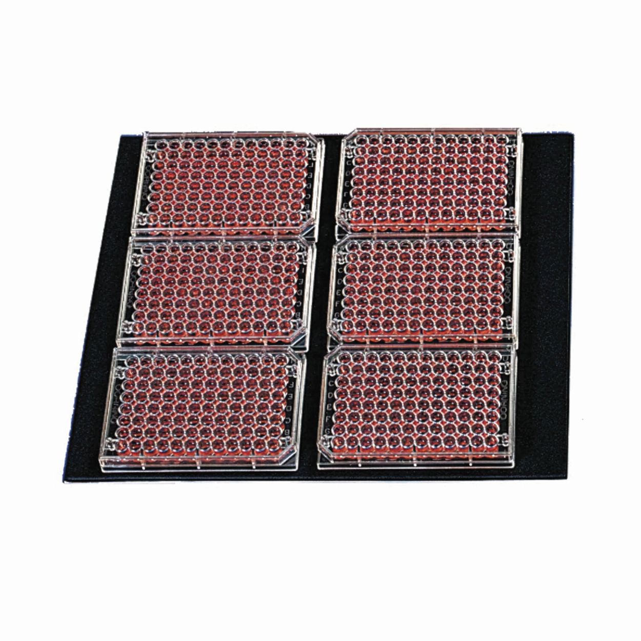 Träger mit Gummioberfläche für Inkubationsschüttler Innova<sup>®</sup> 40(R)/42(R)