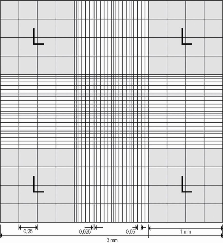 Zählkammer nach Neubauer
