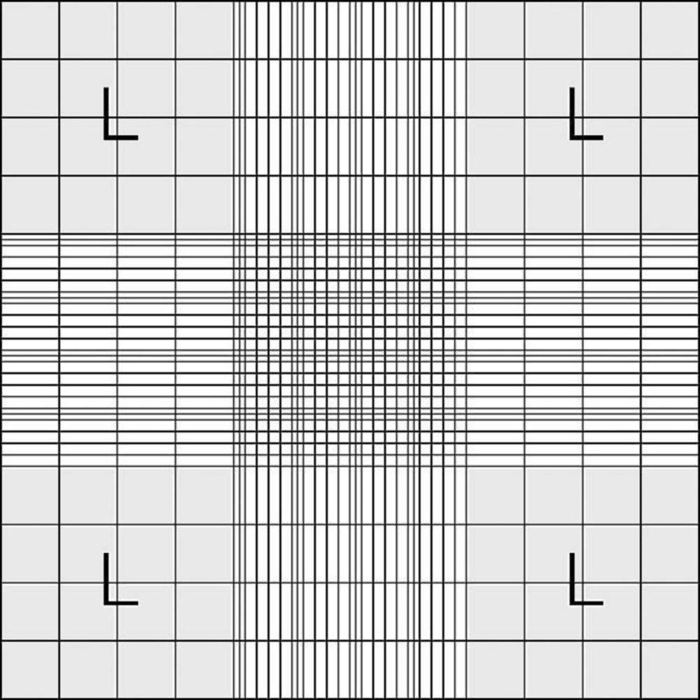 Zählkammer nach Neubauer