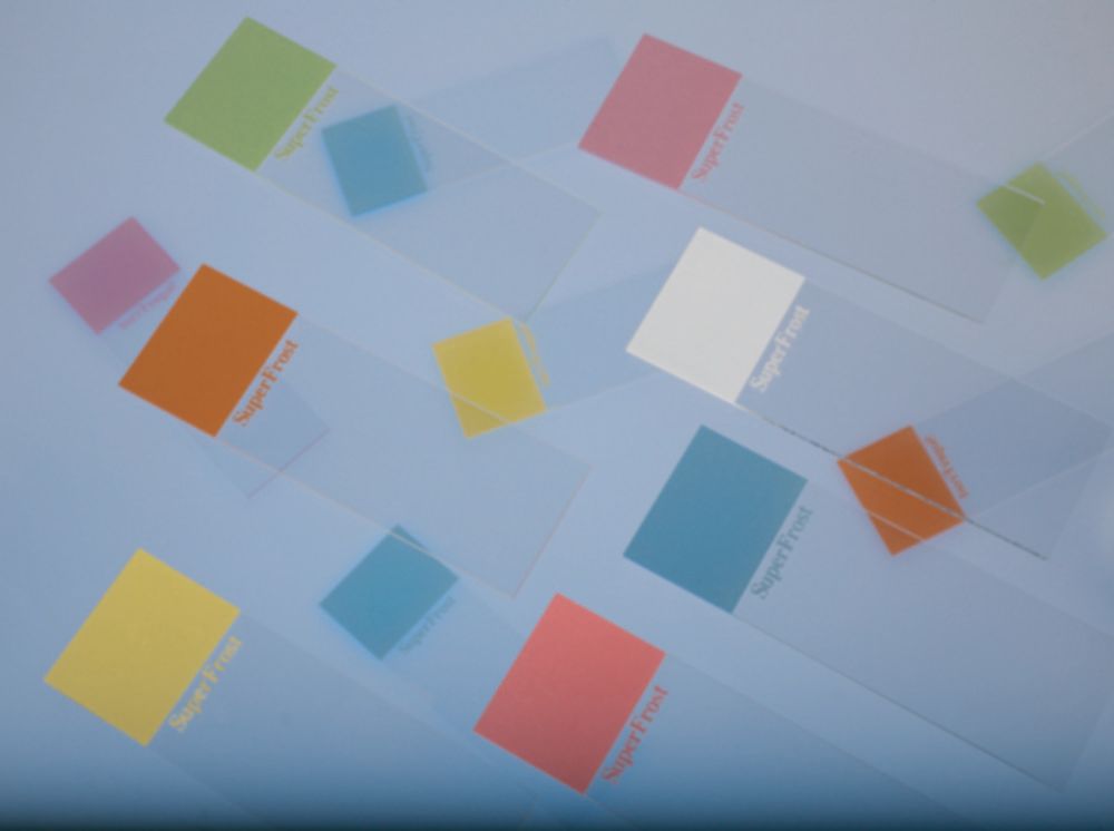 Objektträger SuperFrost<sup>®</sup>, extra-weiß