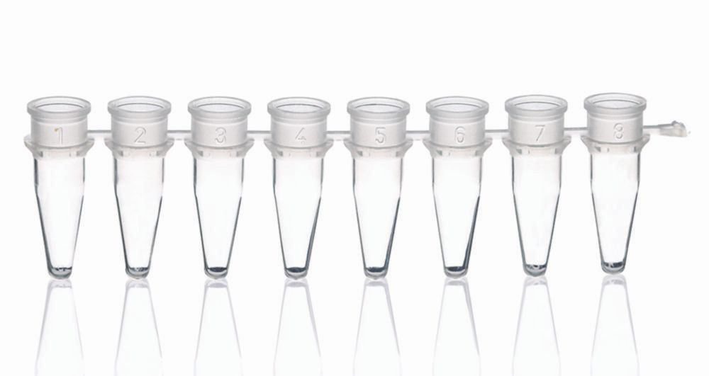 PCR-Gefäße 8er-Strips, PP, ohne Deckel