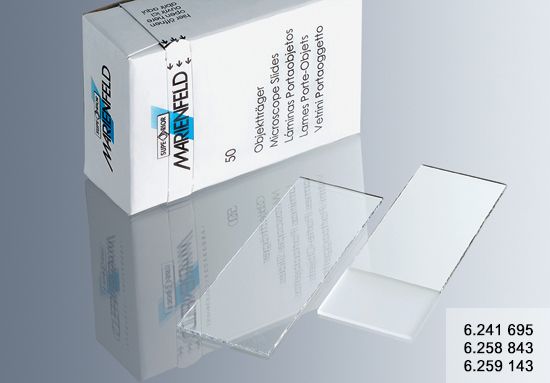 Objektträger, farblos