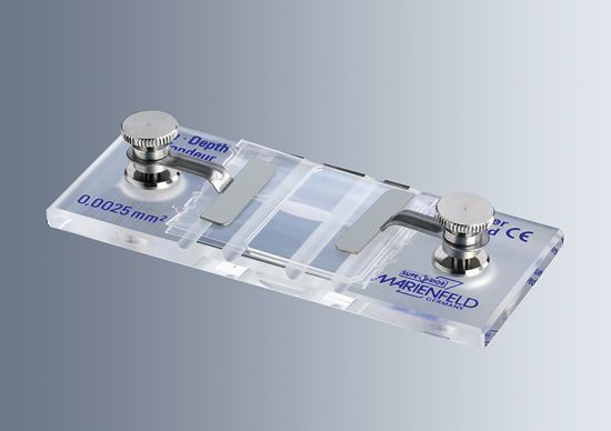 Zählkammer nach Neubauer improved