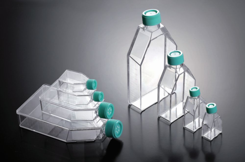 Zellkulturflaschen, behandelt, PS, steril