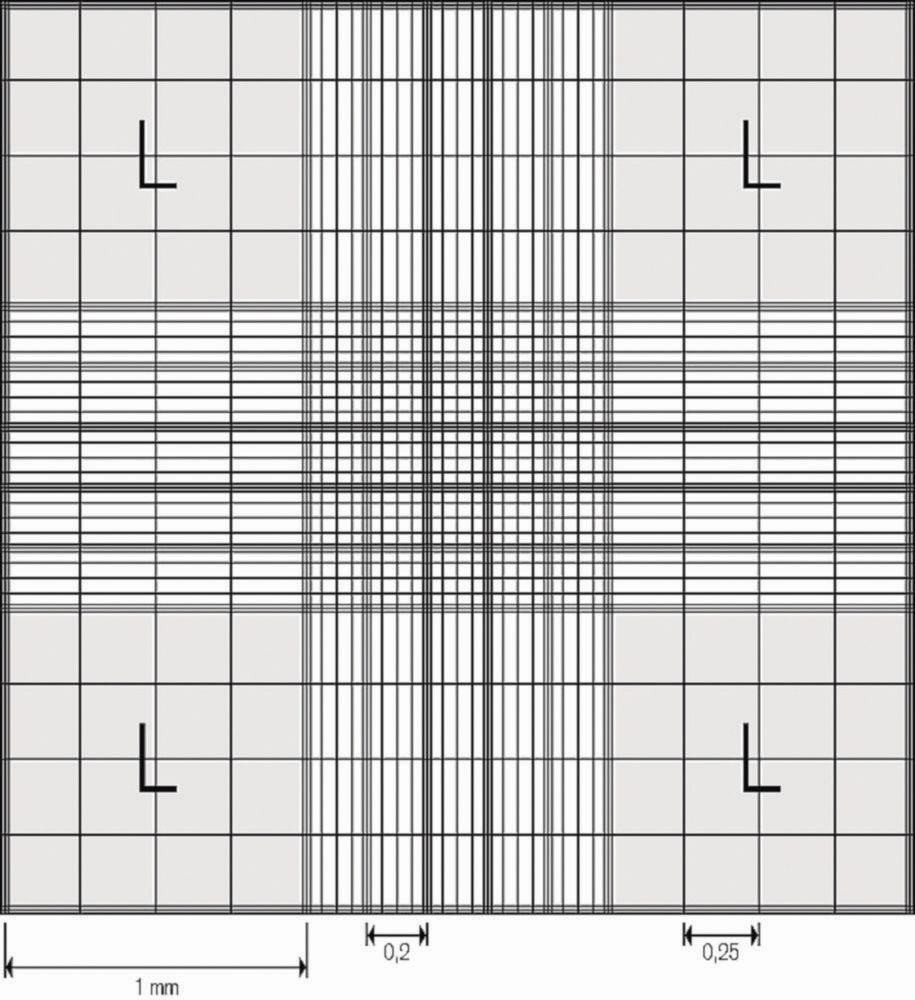 Zählkammer nach Neubauer improved